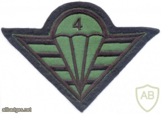 CZECH REPUBLIC 4th Rapid Deployment Brigade parachutist patch, field version img3758