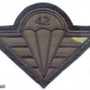 CZECH REPUBLIC 4th Rapid Deployment Brigade, 42nd Mechanized (Infantry) Battalion parachutist patch, camo version