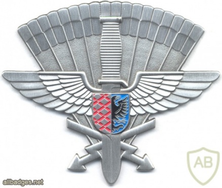 CZECH REPUBLIC 102nd Airborne Reconnaissance Battalion pocket badge, rectangular canopy img3915