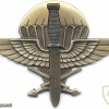 CZECH REPUBLIC 11th Reconnaissance Battalion pocket badge