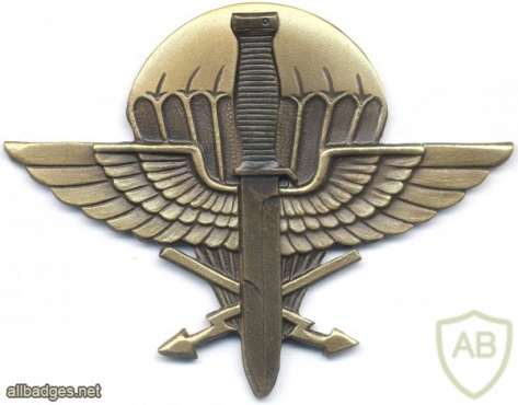 CZECH REPUBLIC 11th Reconnaissance Battalion pocket badge img3913