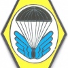 CZECH REPUBLIC 22nd Airborne Brigade, 72nd Parachute (Training) Battalion badge