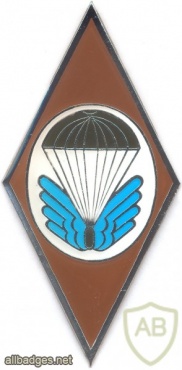 CZECH REPUBLIC 22nd Airborne Brigade, 5th Airborne Reconnaissance Company badge img3917