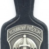 CZECH REPUBLIC 115th Long Range Reconnaissance Battalion Prostejov pocket badge img3912
