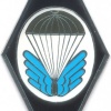CZECH REPUBLIC 22nd Airborne Brigade, 6th Airborne Reconnaissance Company badge img3918