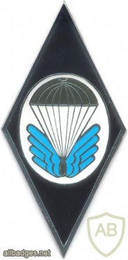 CZECH REPUBLIC 22nd Airborne Brigade, 6th Airborne Reconnaissance Company badge img3918