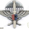 CZECH REPUBLIC 102nd Airborne Reconnaissance Battalion pocket badge