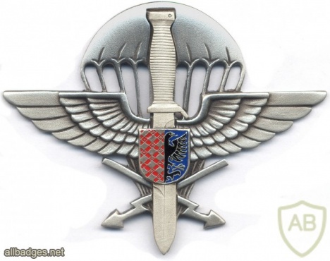 CZECH REPUBLIC 102nd Airborne Reconnaissance Battalion pocket badge img3914