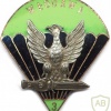 POLAND 3rd Reconnaissance Battalion pocket badge