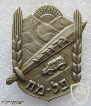 הגדוד החמישי של הפלמ"ח - גדוד "שער הגיא" img3994