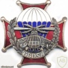 POLAND 6th Airborne Brigade badge, type 2