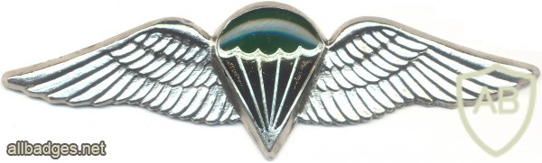 SOUTH AFRICA Parachutist qualification wings, Static line, Advanced, Combat/night, unofficial img4027