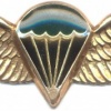 SOUTH AFRICA Parachutist qualification wings, Static line, Combat/night, unofficial