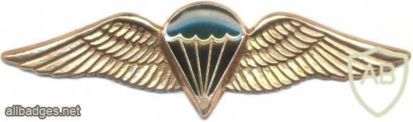 SOUTH AFRICA Parachutist qualification wings, Static line, Combat/night, unofficial img4025
