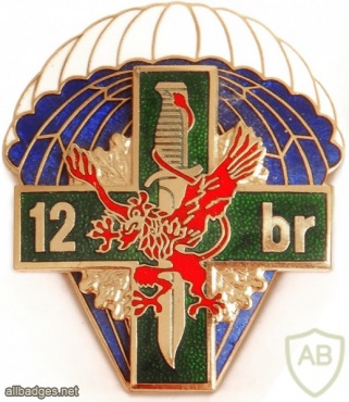 POLAND 12th Reconnaissance Battalion, 12th Mechanized Division pocket badge img4018