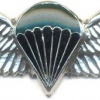 SOUTH AFRICA Parachutist qualification wings, Static line, Advanced, Combat/night, unofficial, mess dress