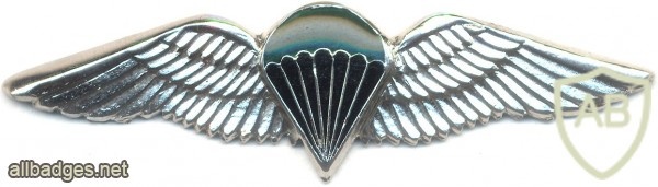 SOUTH AFRICA Parachutist qualification wings, Static line, Advanced, Combat/night, unofficial, mess dress img4028