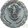 POLAND 56th Special Forces company (56 Kompania Specjalna) bagde