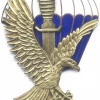 POLAND 62th Special Forces company (62 Kompania Specjalna) badge, 40 years