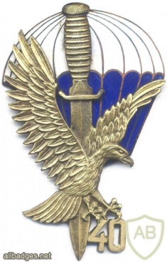 POLAND 62th Special Forces company (62 Kompania Specjalna) badge, 40 years img4023