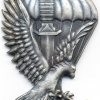 POLAND 62th Special Forces company (62 Kompania Specjalna) badge img4021