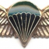 SOUTH AFRICA Parachutist qualification wings, Static line, Combat/night, unofficial, mess dress