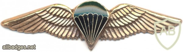SOUTH AFRICA Parachutist qualification wings, Static line, Combat/night, unofficial, mess dress img4026
