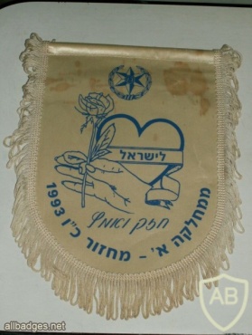 דגלון משטרת ישראל img4201