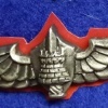 Yoav military boarding achool - Battalion / class badge at yoav military boarding school img4262