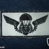 Portuguese Paratroopers wings chest patch badge img4284