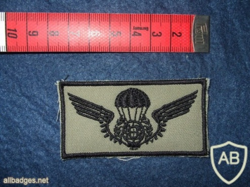 Portuguese Paratroopers wings chest patch badge img4282