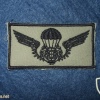 Portuguese Paratroopers wings chest patch badge