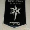 דגלון משטרת ישראל img4189