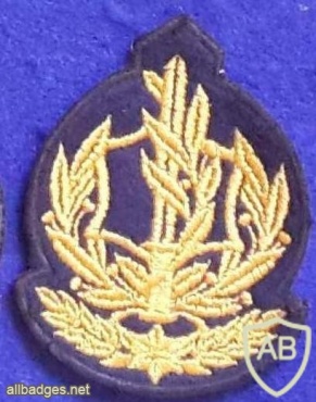 פאץ' דרגת שרוול רס"ב חיל הים img4221