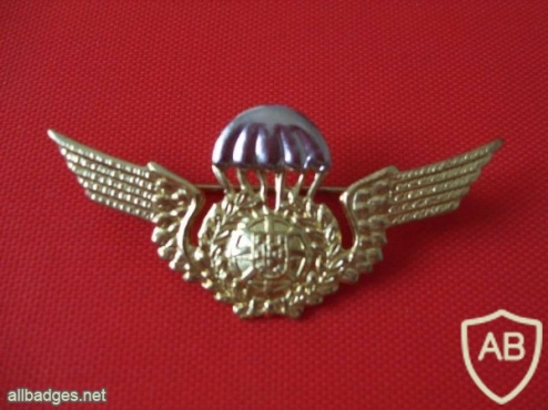 Portuguese Paratroopers wings chest metal badge img4303
