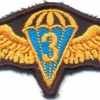 UKRAINE Air Force parachutist jump wings, 3rd Class