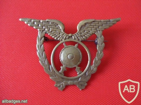 Portuguese Air Force Police uniform badge img4313