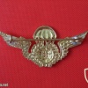 Portuguese Paratroopers wings chest metal badge img4302