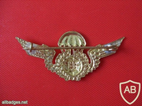 Portuguese Paratroopers wings chest metal badge img4302