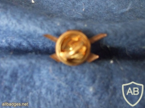 Portuguese Air Force Airfields Engineer uniform pin img4385