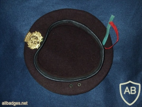 Portuguese Army brown beret with army crest img4376