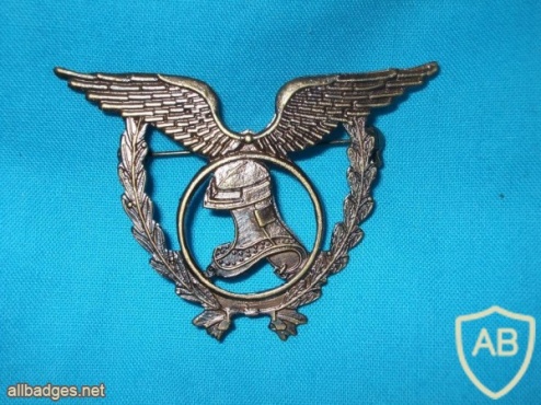 Portuguese Air Force administration uniform badge img4396