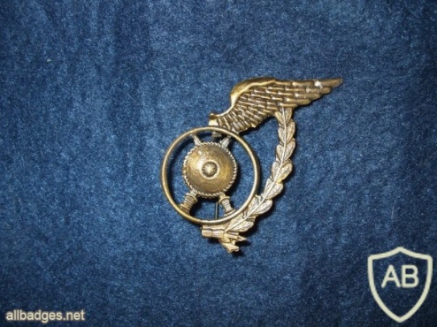 Portuguese Air Force Police uniform badge - undergraduate img4377
