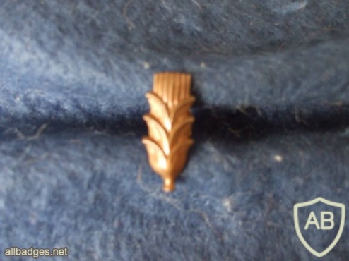 Portuguese Air Force Aeronautic Manager uniform pin badge img4319