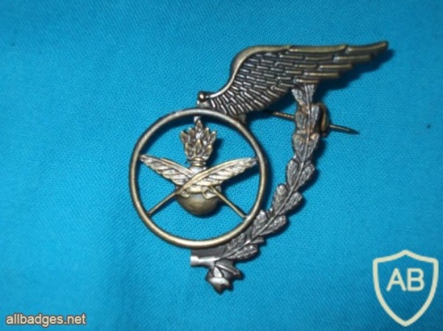 Portuguese Air Force social worker uniform badge undergraduate img4399