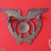 Portuguese Air Force Police uniform badge img4312