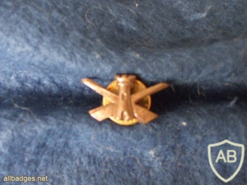 Portuguese Air Force Airfields Engineer uniform pin img4386