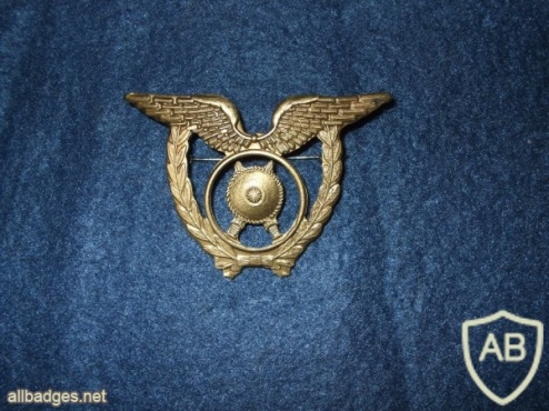 Portuguese Air Force Police uniform badge img4314