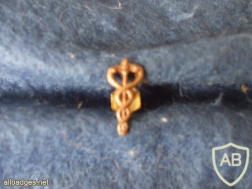 Portuguese Air Force medical doctor uniform pin badge img4379