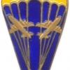 UKRAINE parachutist badge